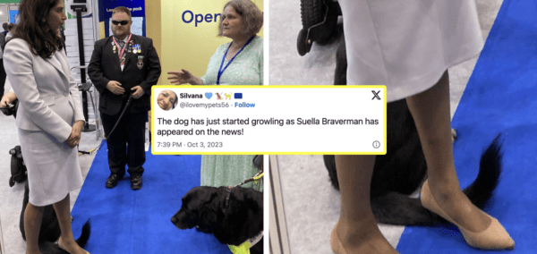 Suella Braverman stood on dog